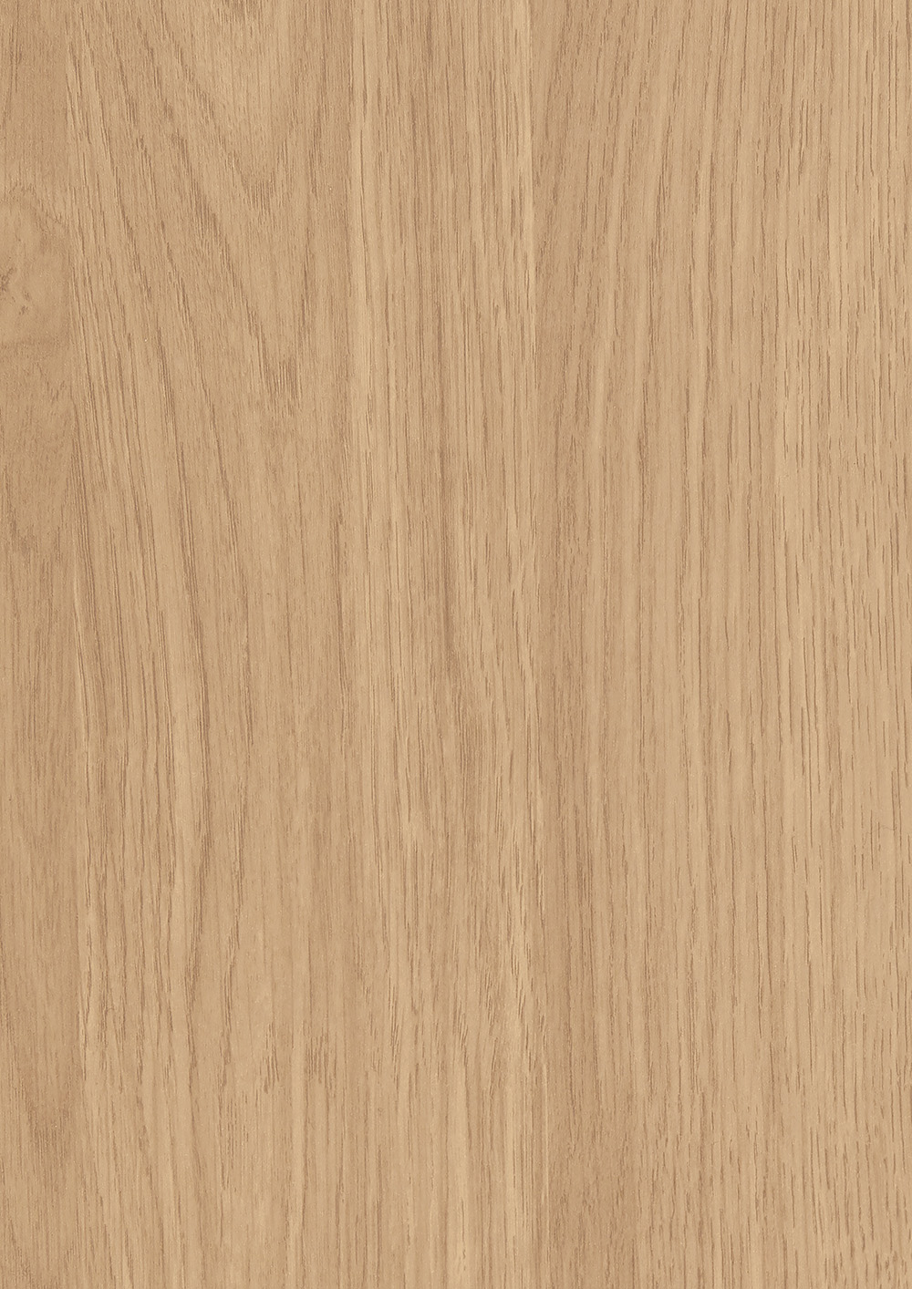 Elegant Oak AbsoluteGrain (Textured)