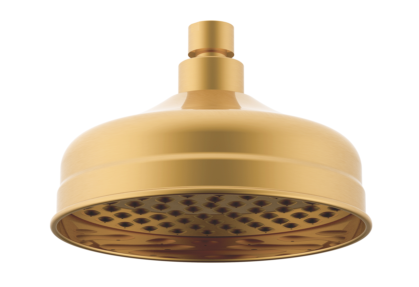 Eternal Shower Rose Brushed Brass