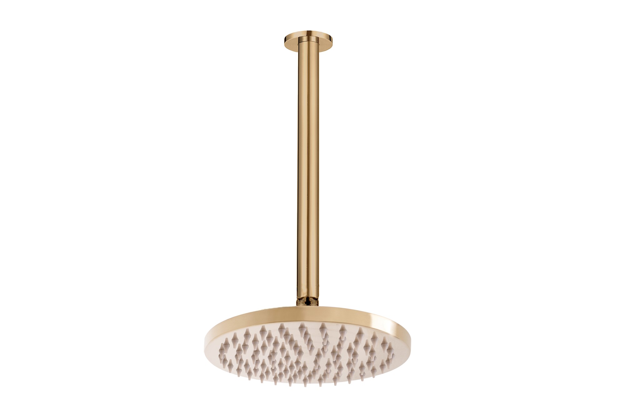 Bloom Shower Rose 200mm and Shower Dropper 300mm Brushed Brass