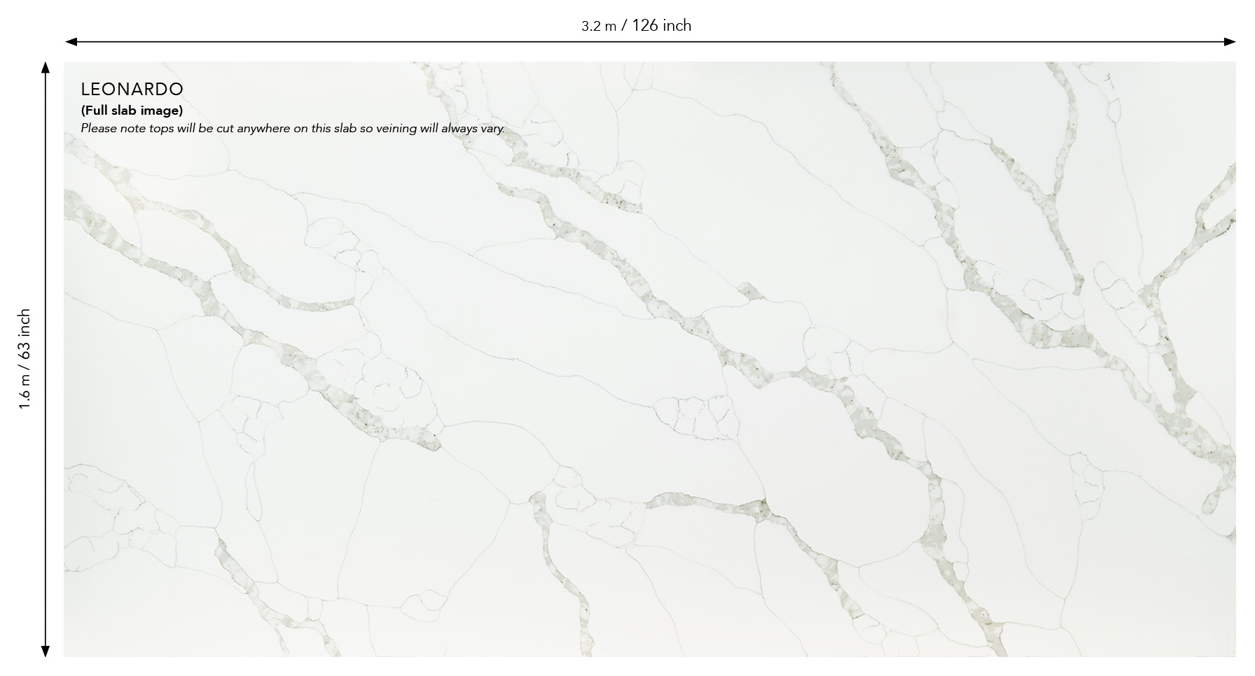 Leonardo Full Sheet Web (1)